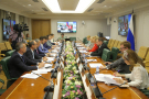 В Совете Федерации состоялся круглый стол, посвященный новым инструментам «зеленого» финансирования