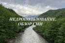 Обзор СМИ. Приморский край в 2022 году перевыполнил план по лесовосстановлению